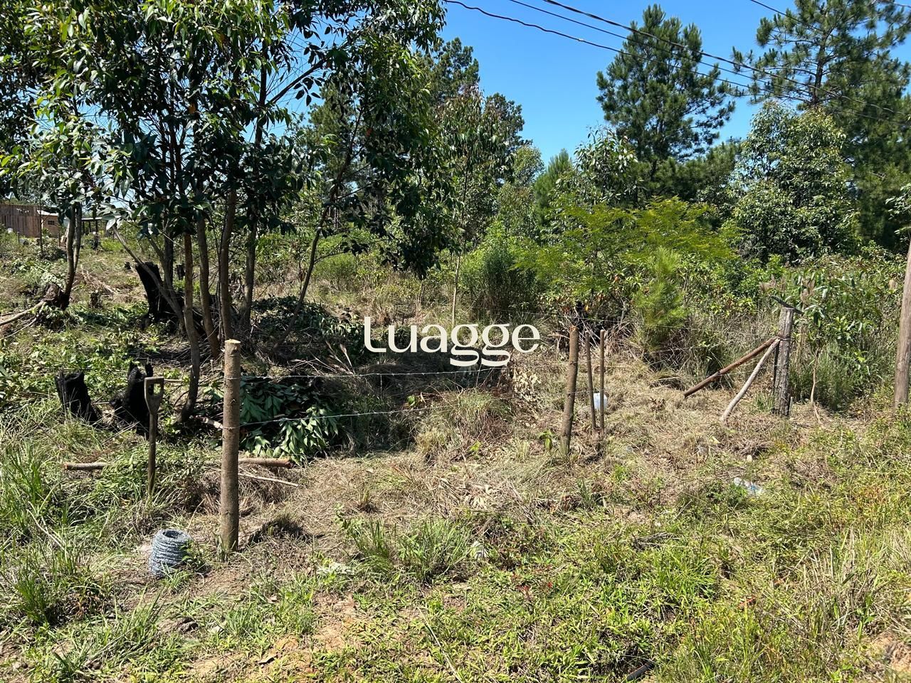 Terreno, à venda, Lageado - Porto Alegre — foto 4