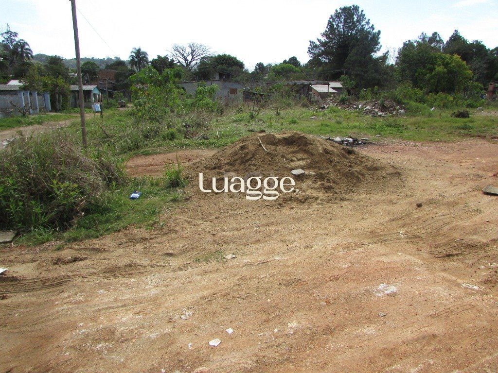 Terreno, 1592 m² - Foto 5