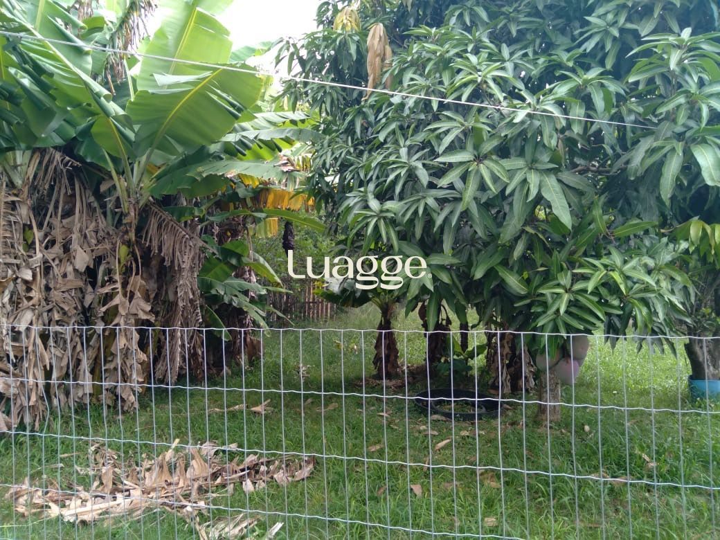 Sítio à venda com 3 quartos, 3162m² - Foto 1