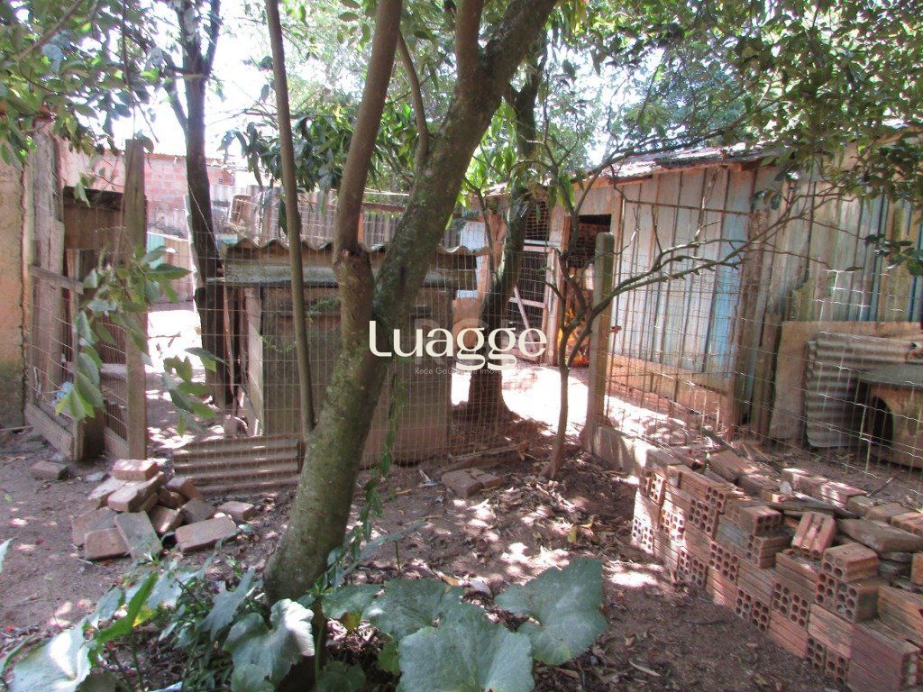 Sítio à venda com 2 quartos, 79m² - Foto 4