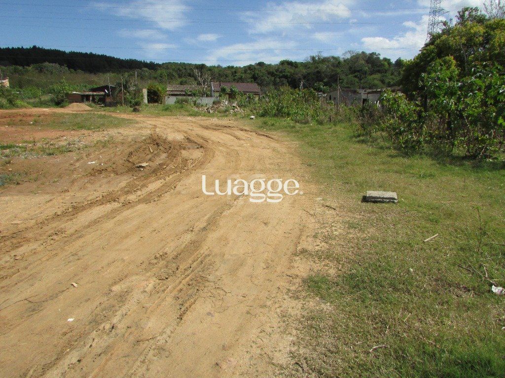 Terreno, 1592 m² - Foto 4