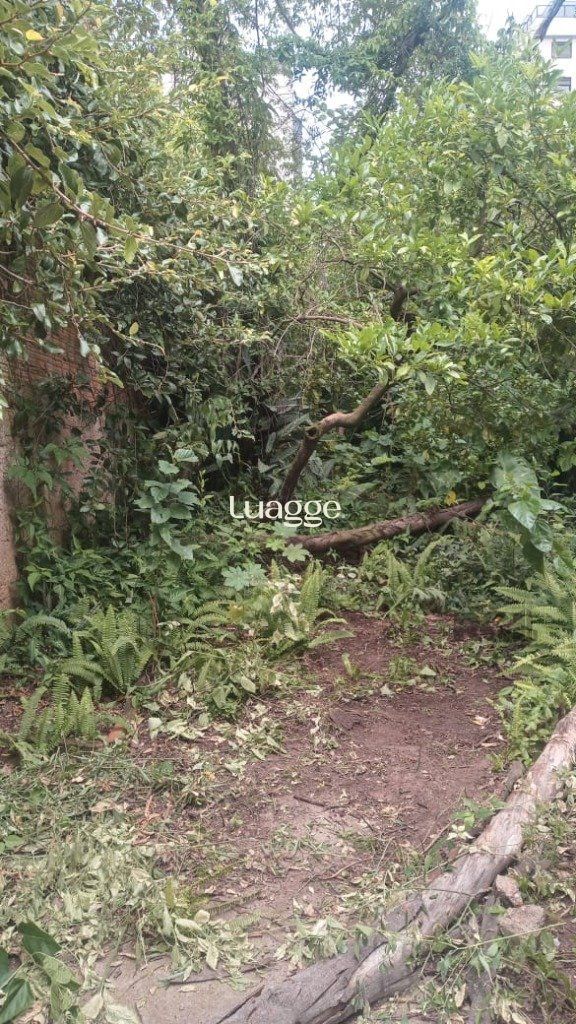Loja-Salão à venda com 4 quartos, 148m² - Foto 28