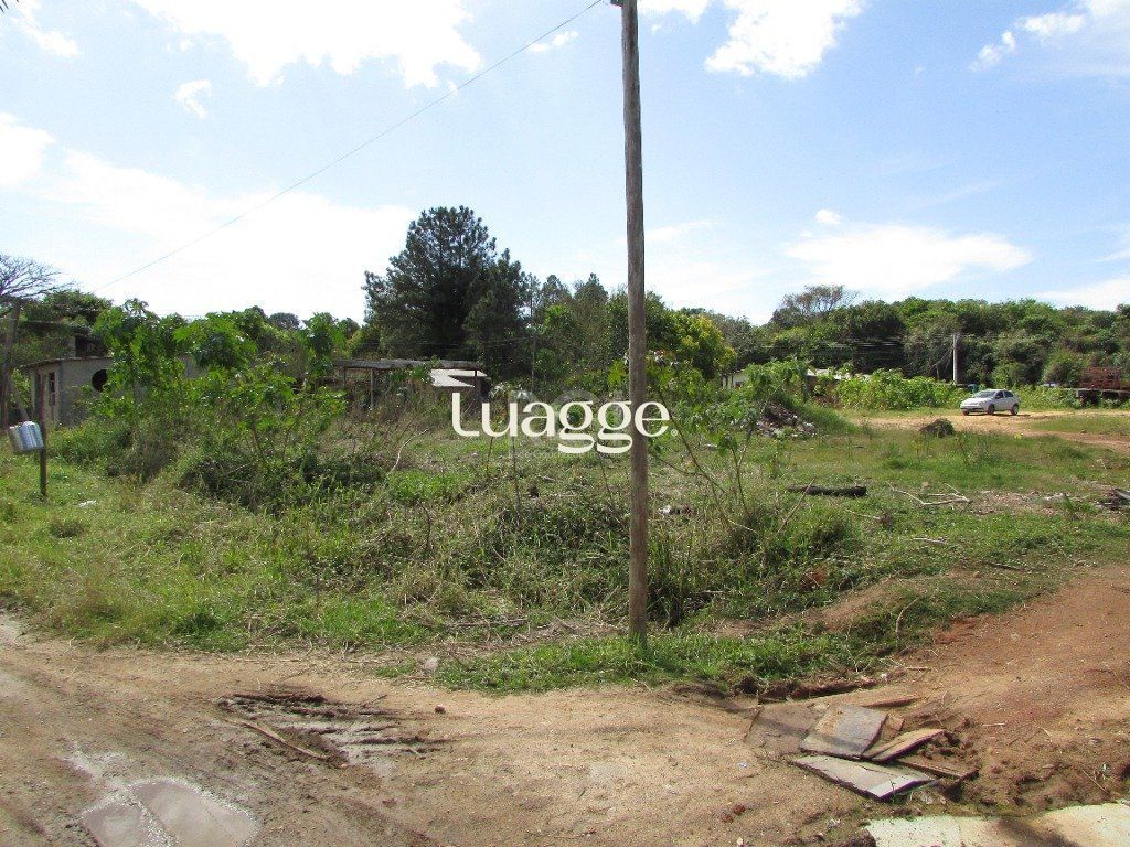 Terreno, 1592 m² - Foto 7