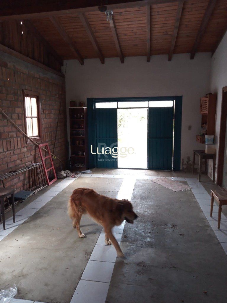Sítio à venda com 1 quarto, 870m² - Foto 21