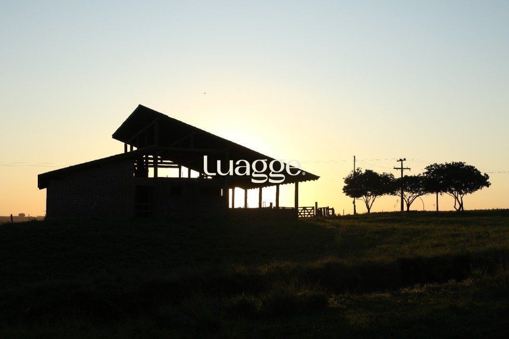 Terreno à venda, 201018m² - Foto 4