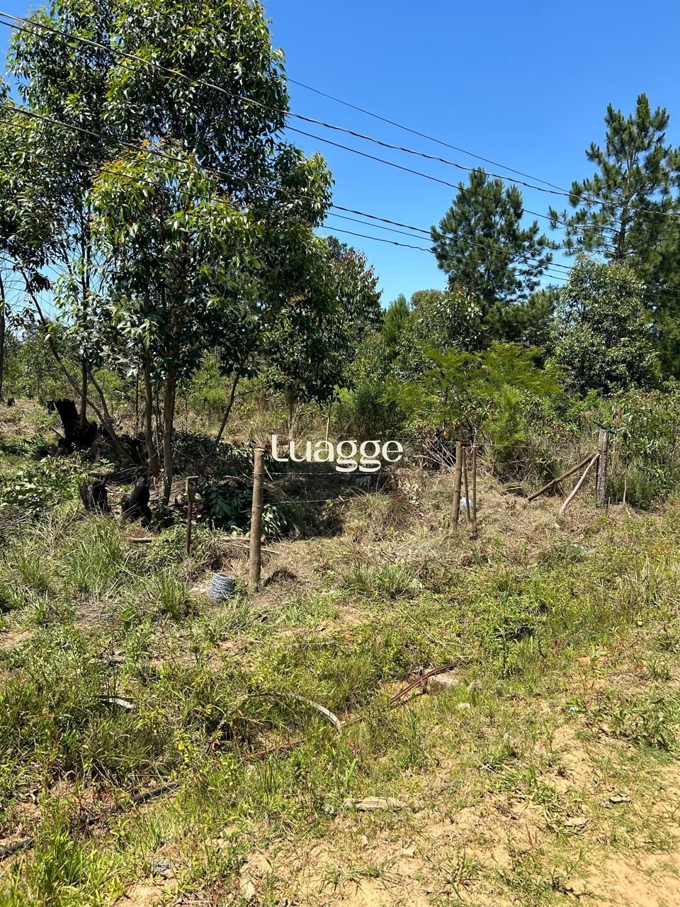 Terreno à venda, Lageado - Porto Alegre