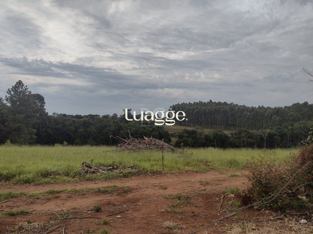 Sítio, 3 quartos, 81 m² - Foto 2