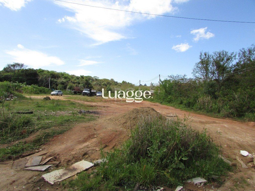 Terreno, 1592 m² - Foto 6