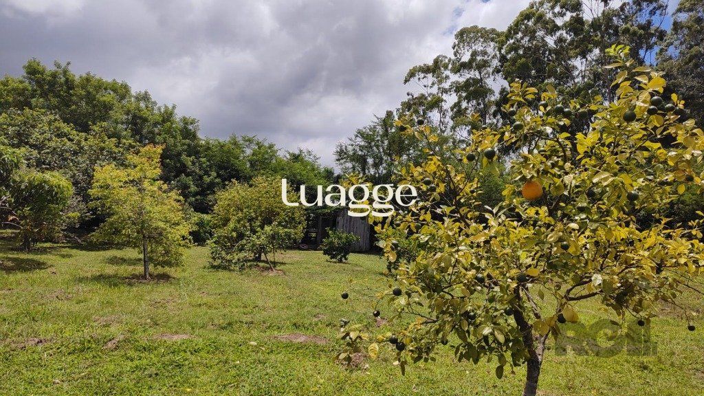 Chácara à venda com 4 quartos, 302m² - Foto 41