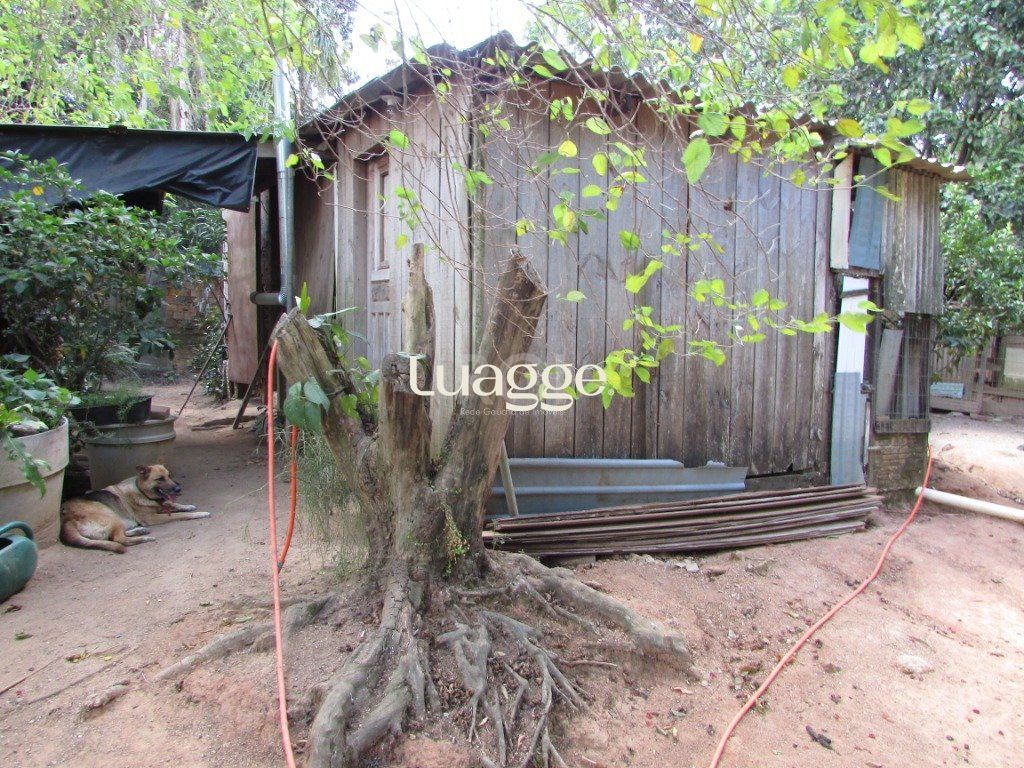 Sítio à venda com 2 quartos, 79m² - Foto 3