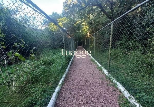 Apartamento à venda com 3 quartos, 60m² - Foto 33