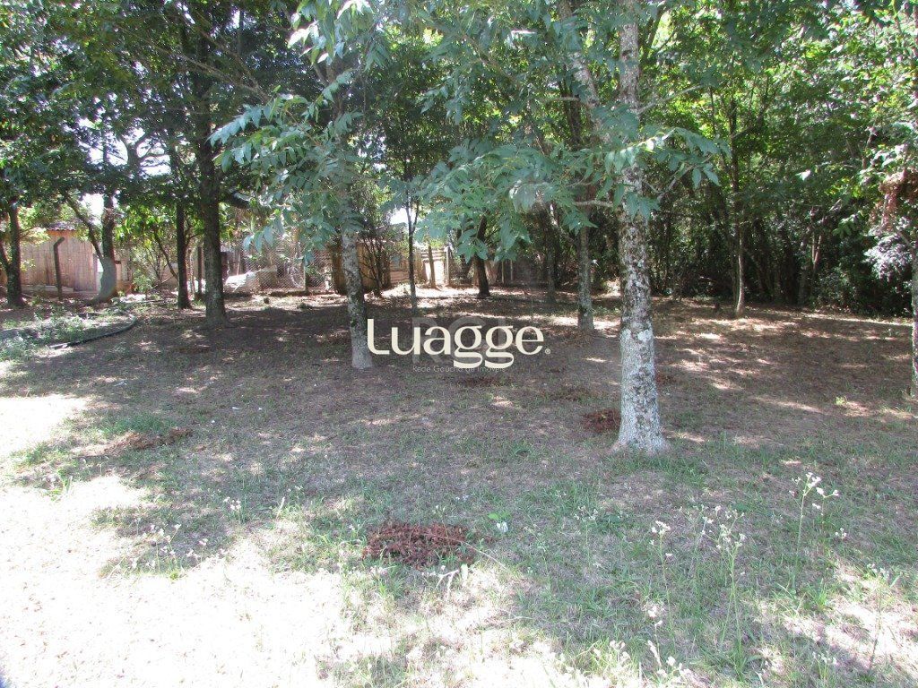 Sítio à venda com 2 quartos, 79m² - Foto 9