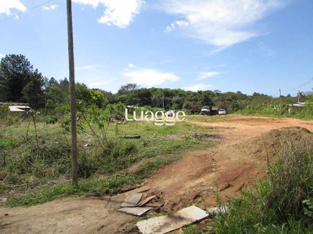 Terreno, 1592 m² - Foto 8