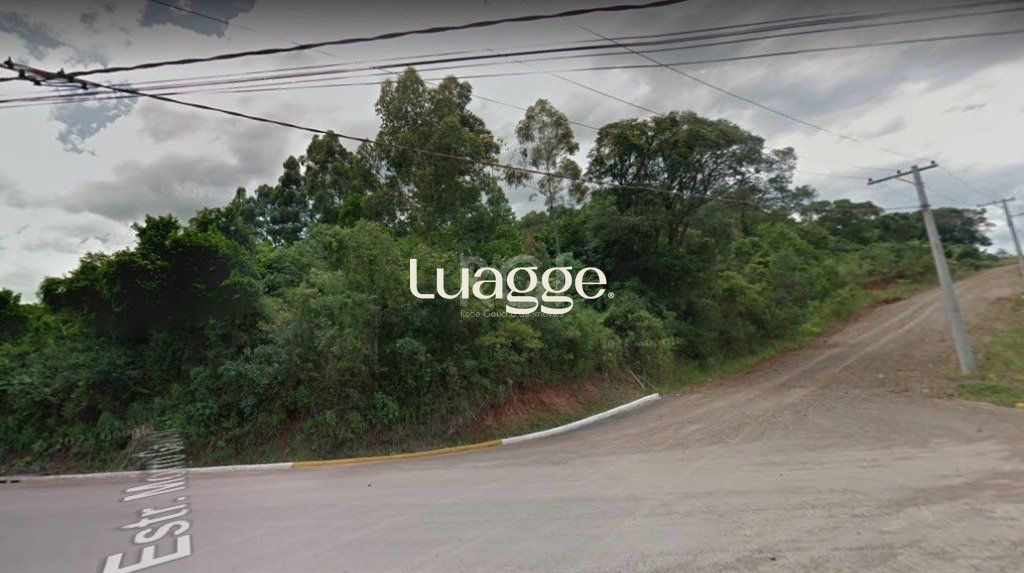 Terreno, 2 hectares - Foto 4