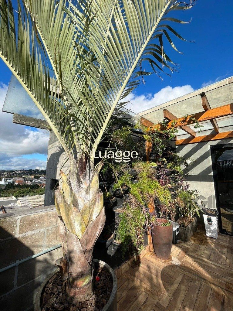Casa à venda com 2 quartos, 182m² - Foto 10