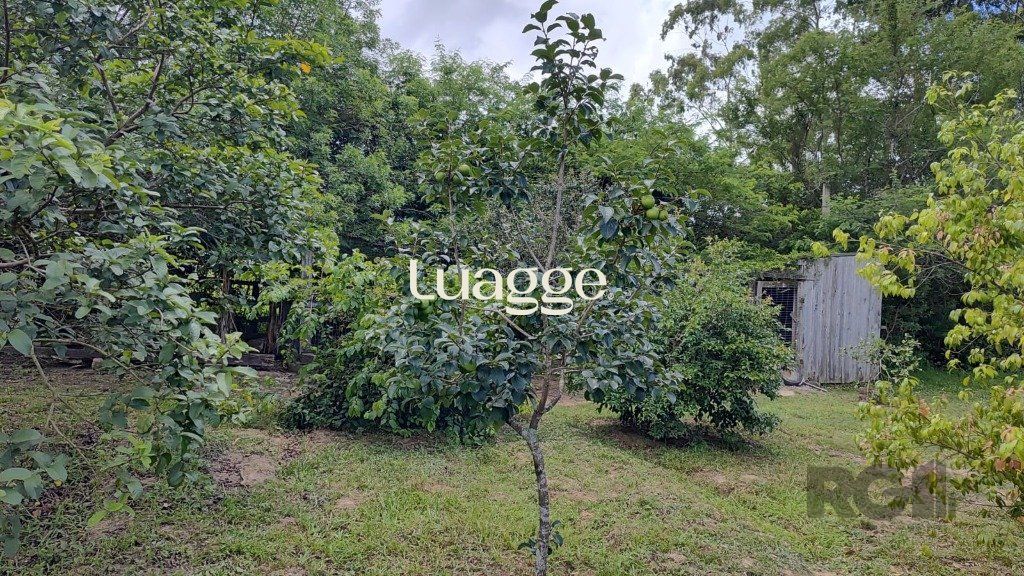 Chácara à venda com 4 quartos, 302m² - Foto 44