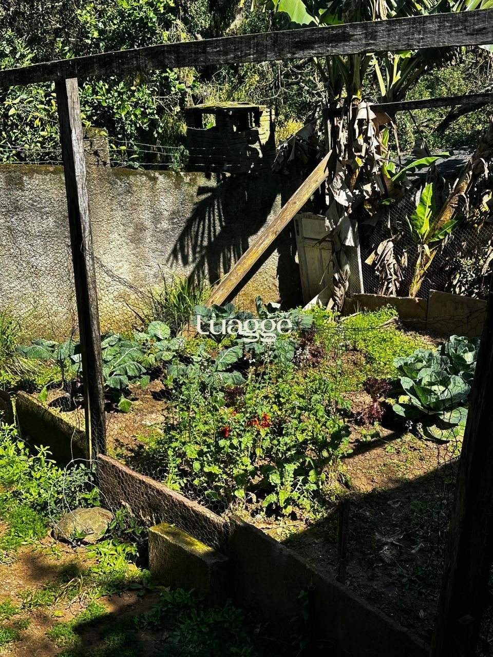 Casa à venda com 2 quartos, 79m² - Foto 18