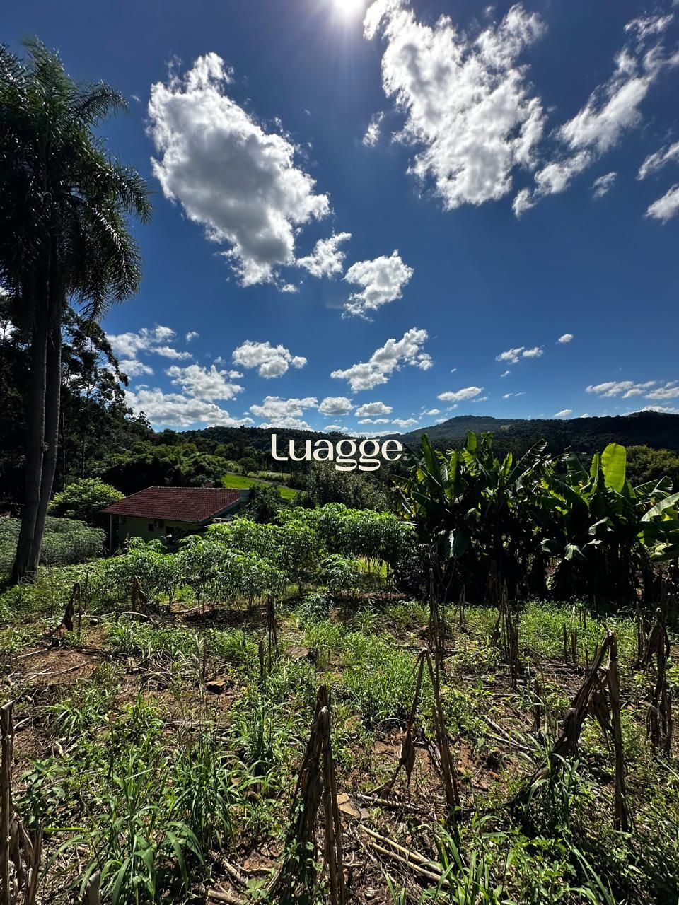 Terreno, à venda, Feitoria Nova - Ivoti — foto 4