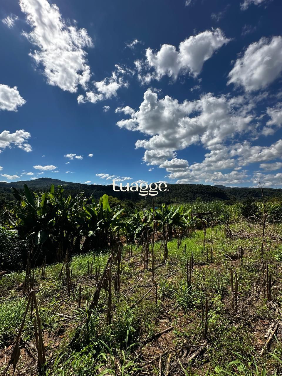 Terreno, à venda, Feitoria Nova - Ivoti — foto 5