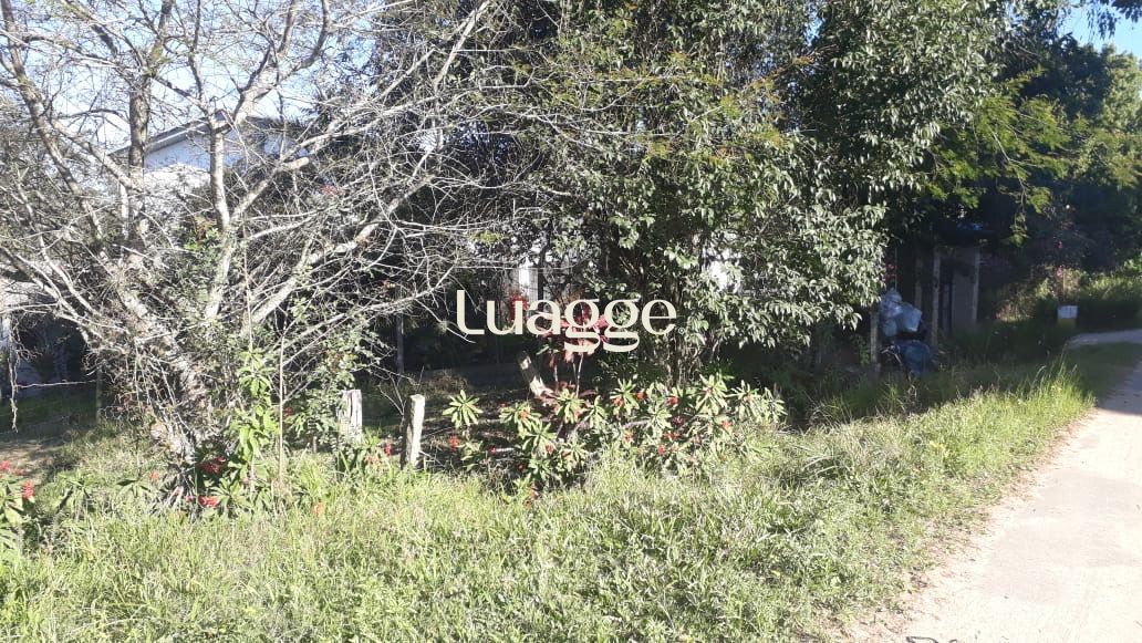 Sítio à venda com 3 quartos, 230m² - Foto 6