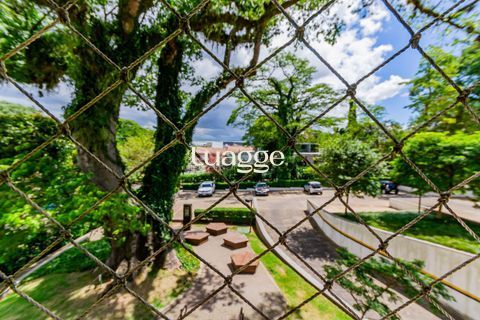 Apartamento, 3 quartos, 75 m² - Foto 15