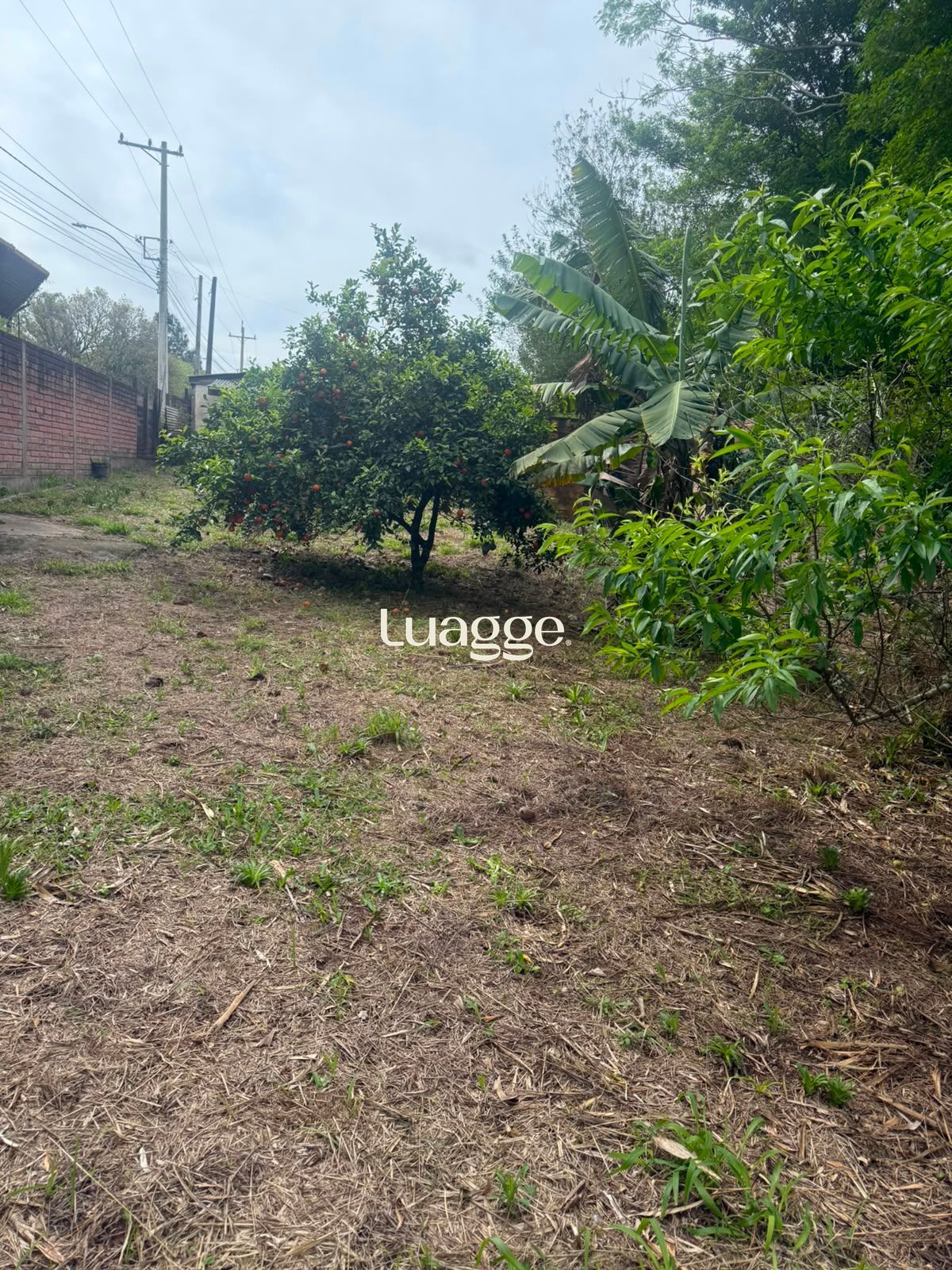 Terreno, à venda, Ipiranga I (ipiranga) - Gravataí — foto 5