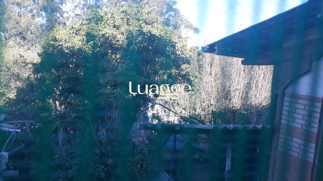 Sítio à venda com 3 quartos, 230m² - Foto 23