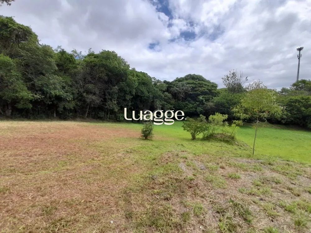 Terreno, à venda, Vila Nova - Porto Alegre — foto 3