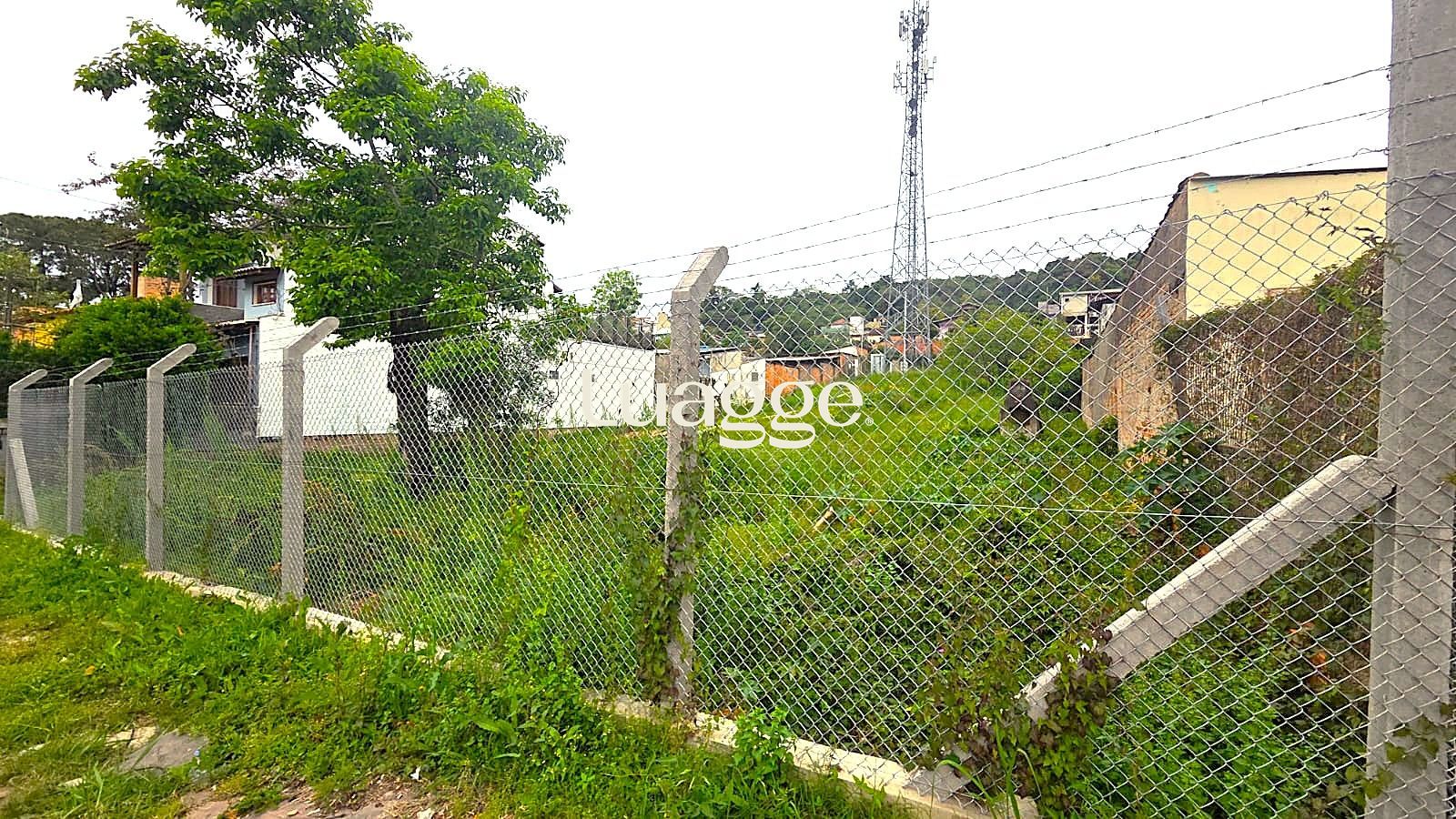 Terreno, à venda, Tristeza - Porto Alegre — foto 4