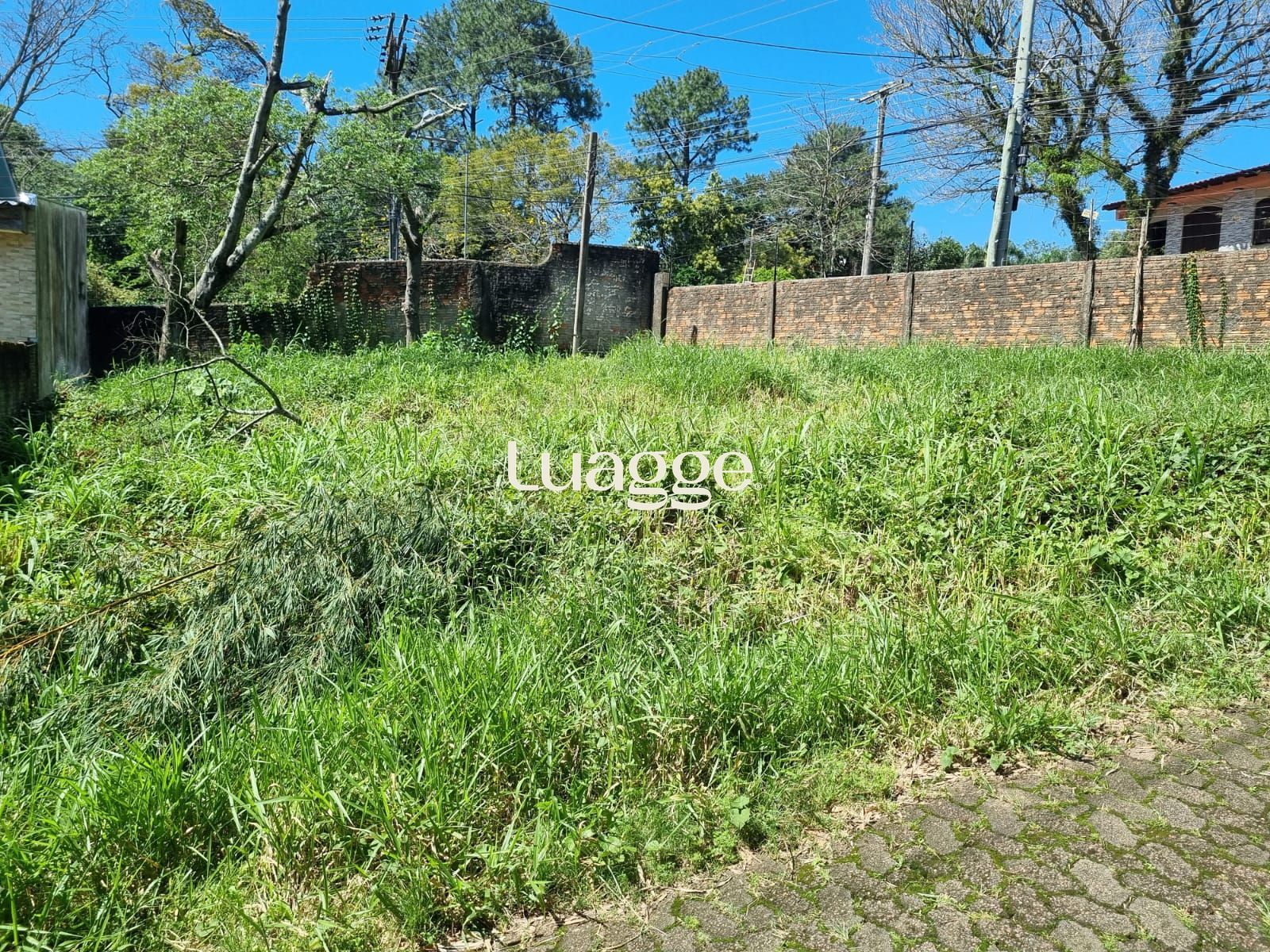 Terreno, à venda, Vila Nova - Porto Alegre — foto 4