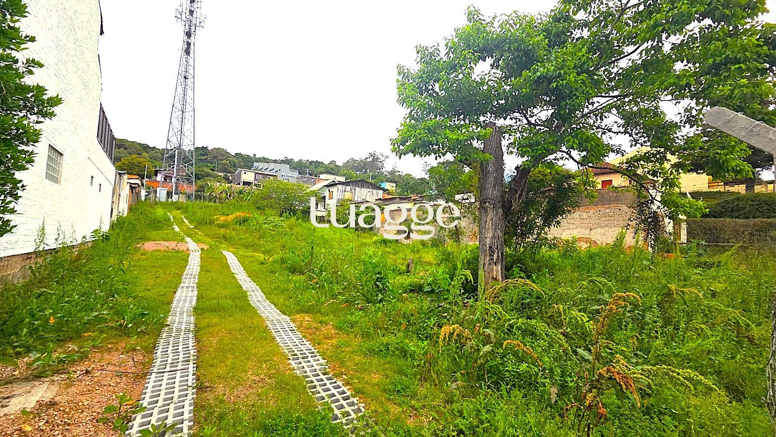 Terreno, à venda, Tristeza - Porto Alegre — foto 5