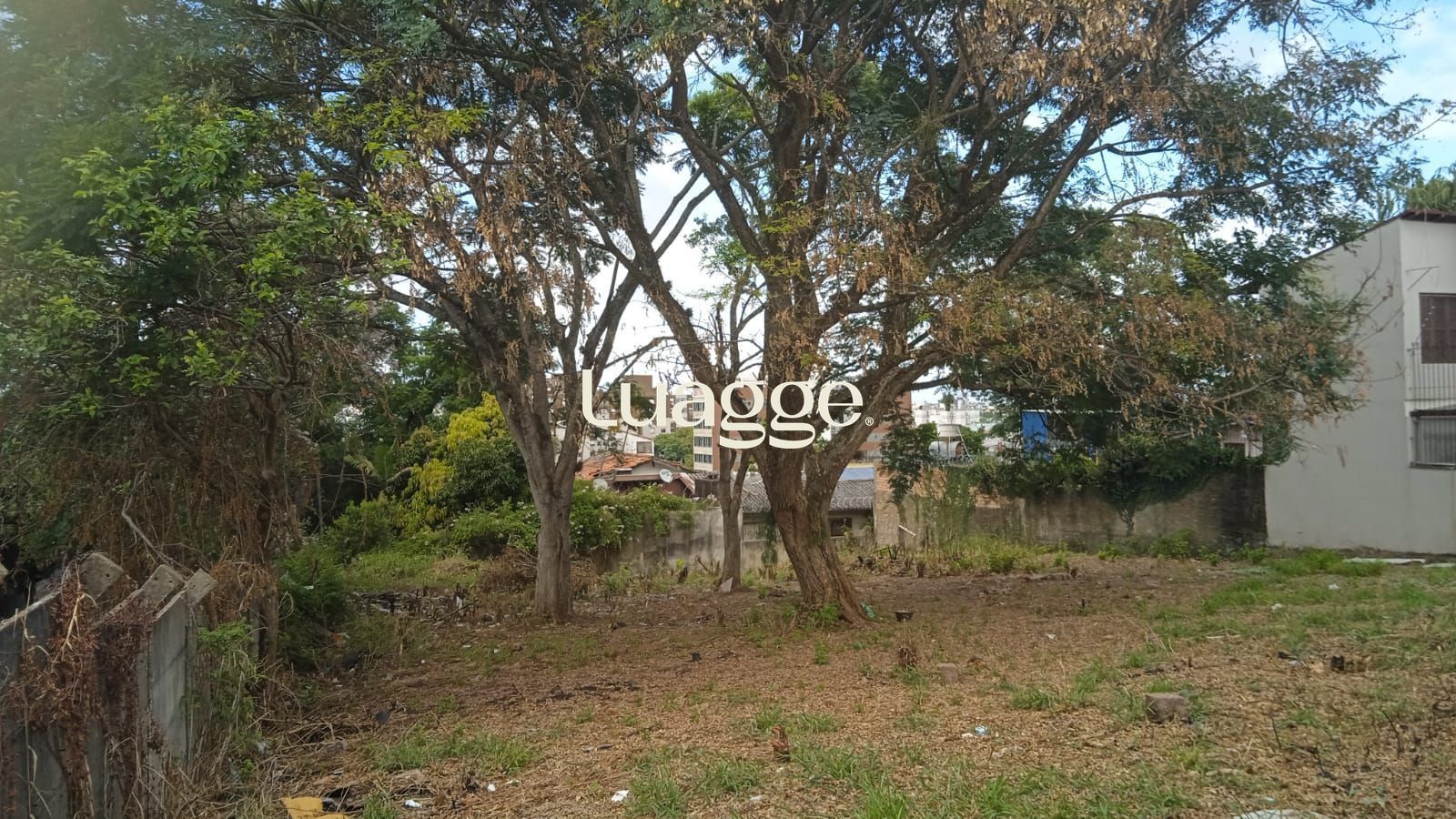 .jpg+2025-04-09