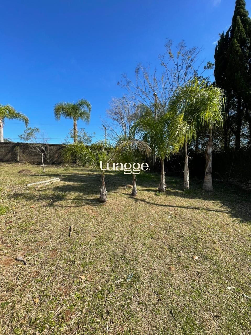 Terreno, 1609 m² - Foto 2