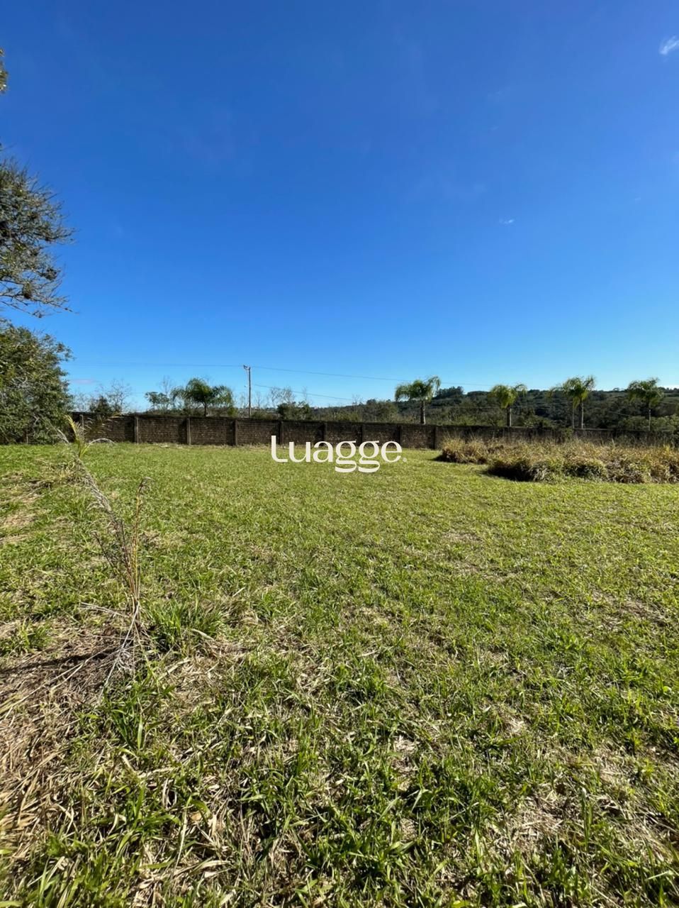 Terreno, 1609 m² - Foto 8