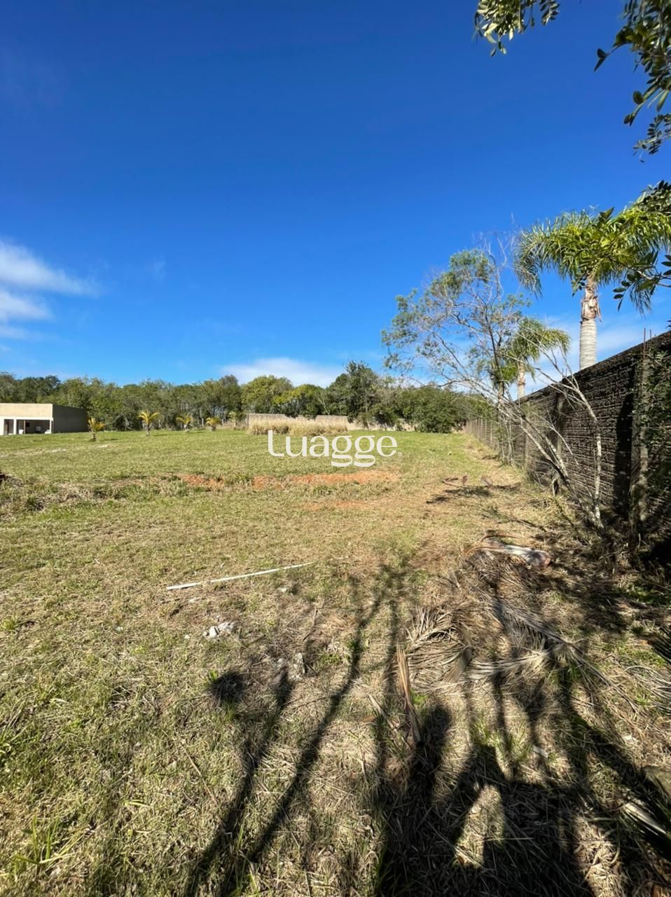 Terreno, 1609 m² - Foto 17