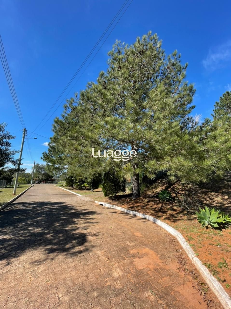 Terreno, 1609 m² - Foto 31