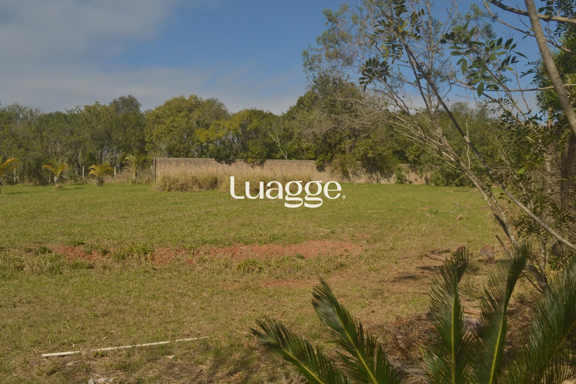 Terreno, 1609 m² - Foto 5