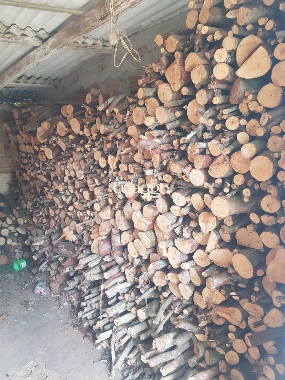 Sítio, 2 suítes, à venda, 120 m², Águas Claras - Viamão — foto 3