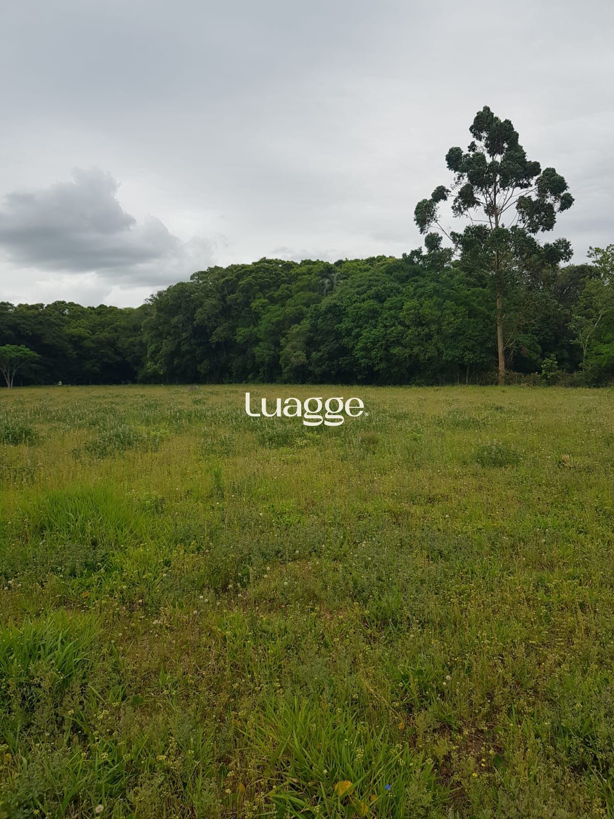 Sítio, 2 suítes, à venda, 120 m², Águas Claras - Viamão — foto 4
