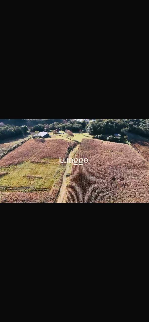 Terreno, à venda, Área Rural - Bento Gonçalves — foto 2