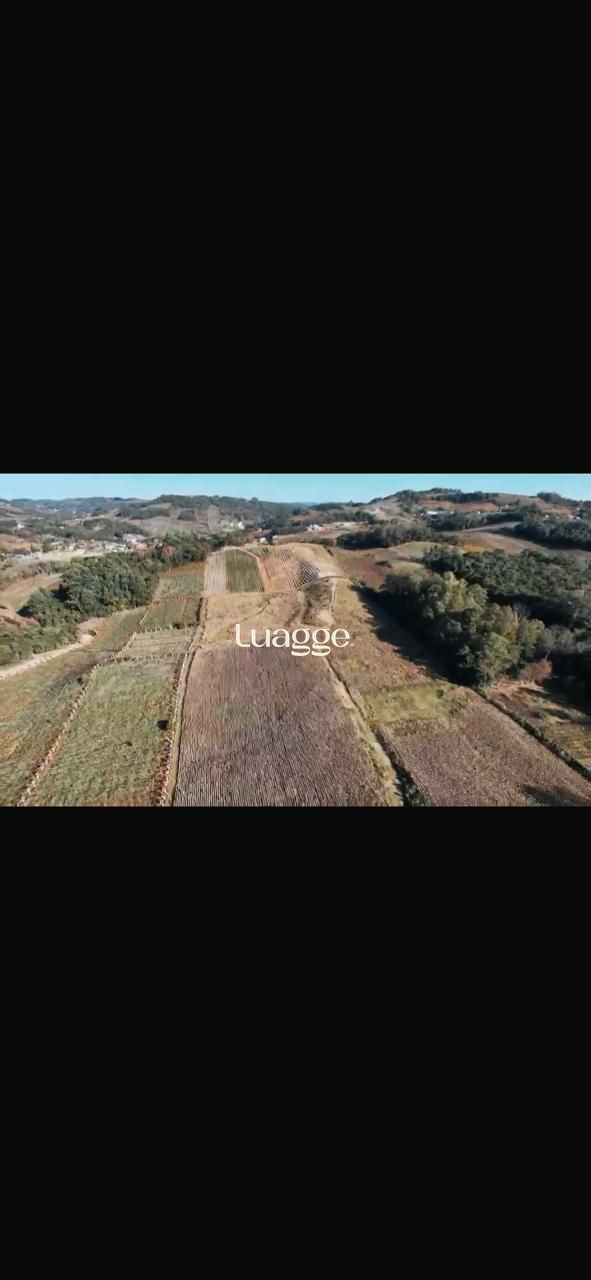 Terreno, à venda, Área Rural - Bento Gonçalves — foto 1