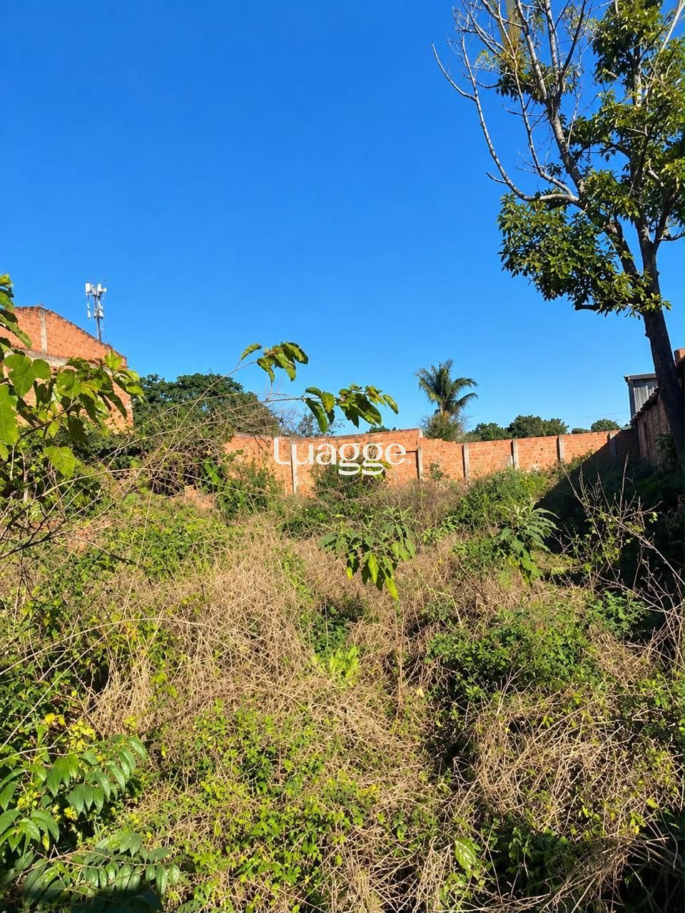 Terreno, à venda, Vila Fátima - Cachoeirinha — foto 2