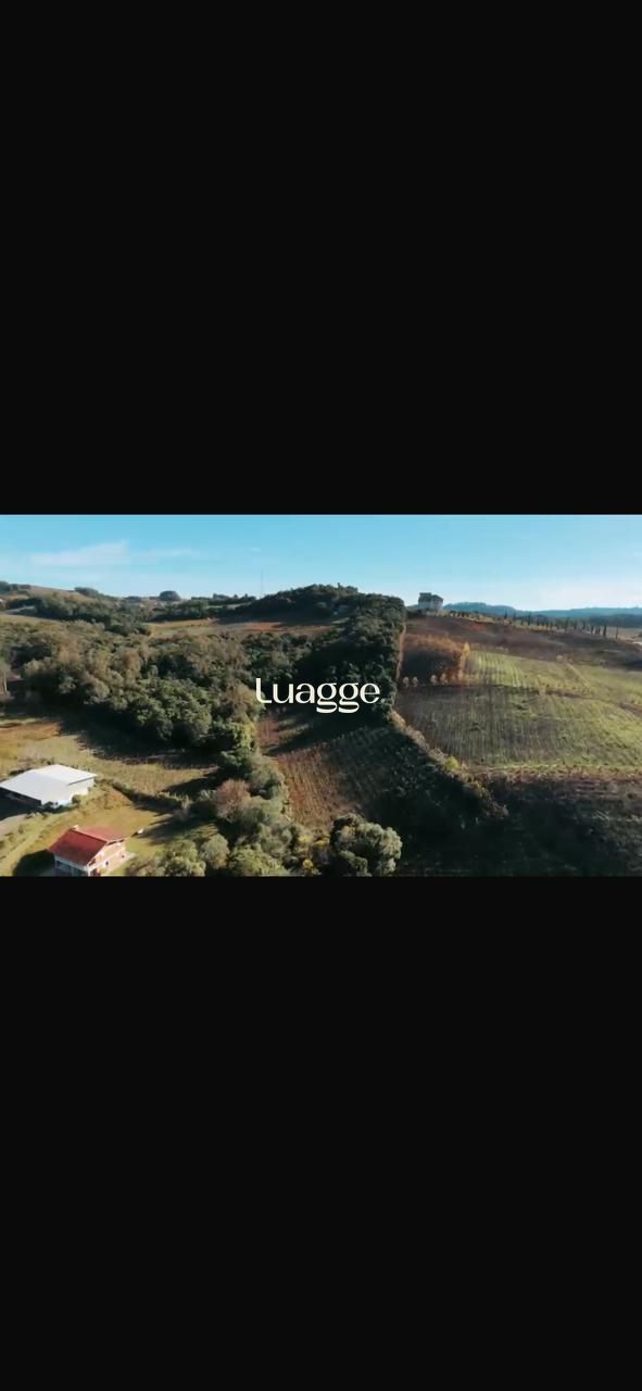 Terreno, à venda, Área Rural - Bento Gonçalves — foto 3