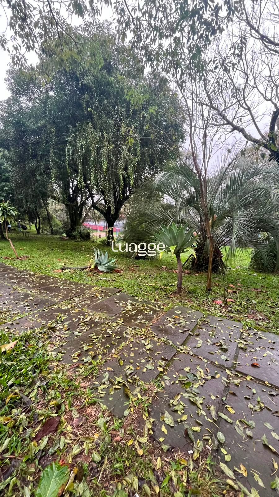 Apartamento, 1 quarto, à venda, 41 m², Vila Ipiranga - Porto Alegre — foto 5