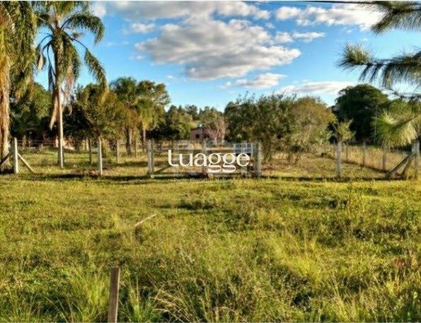 Terreno, 1241 m² - Foto 3