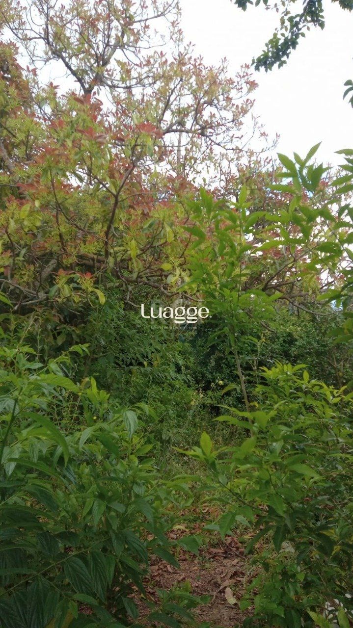 Terreno, 357 m² - Foto 7