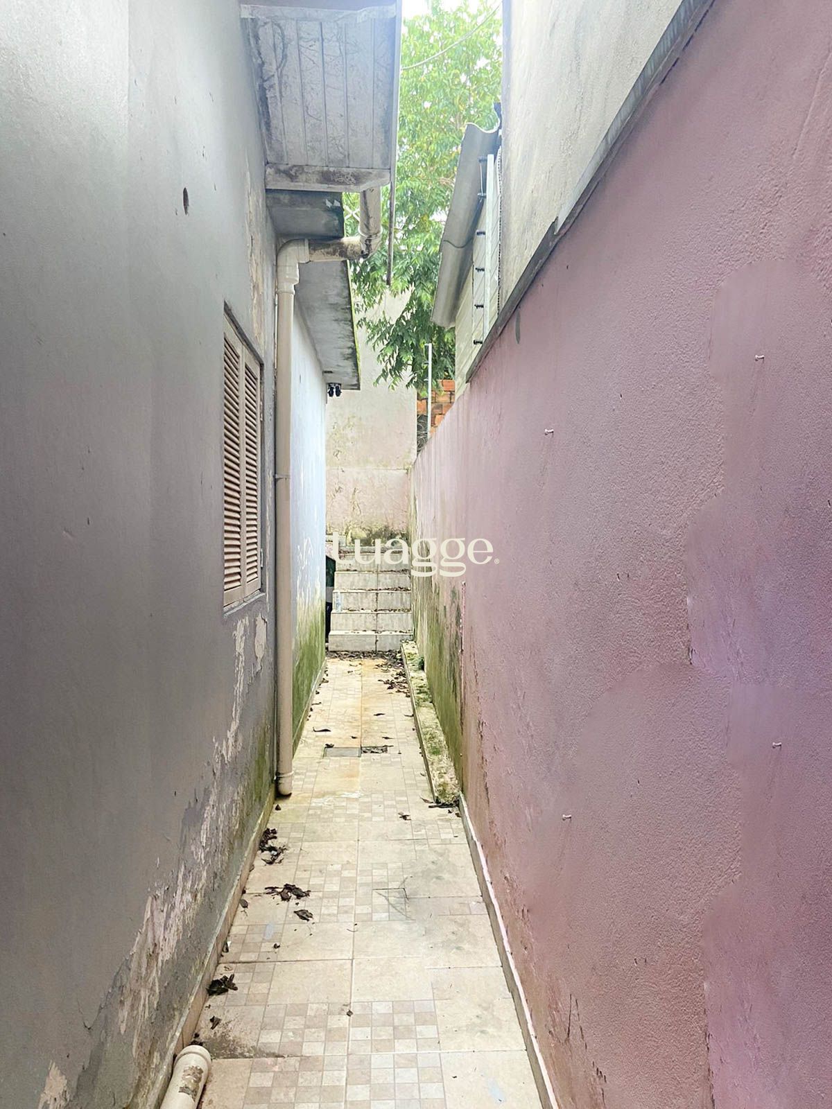Casa à venda com 4 quartos, 159m² - Foto 6