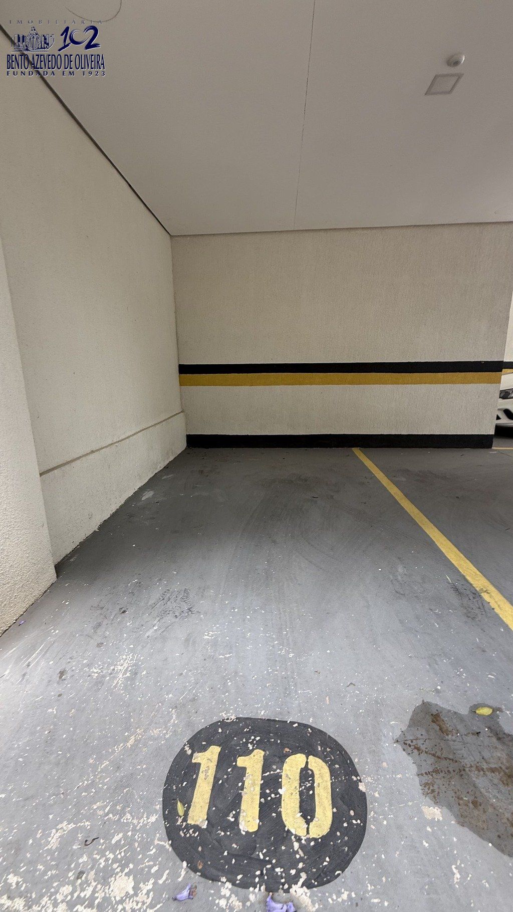 2038692.jpg