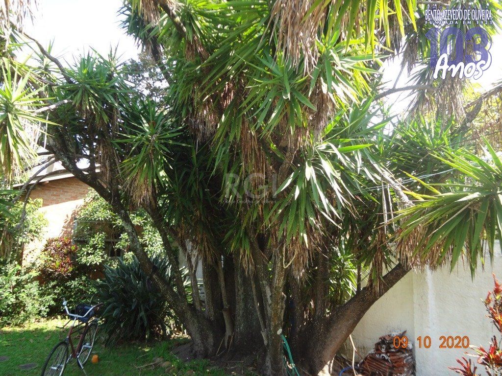 Casa, 3 quartos, 250 m² - Foto 9