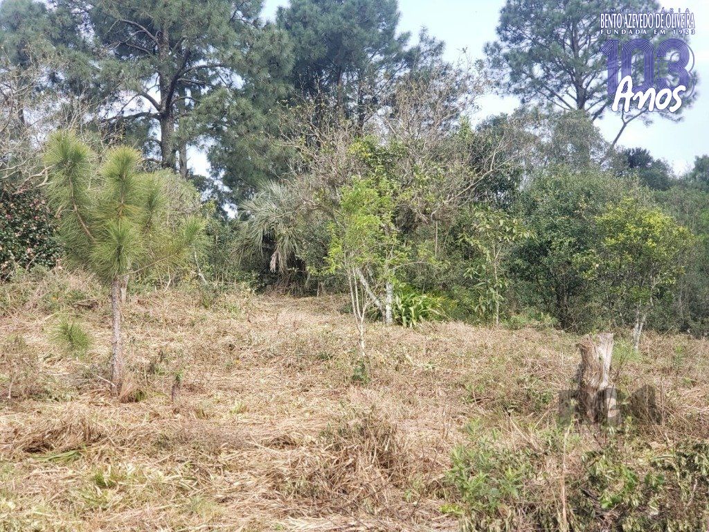 Terreno, 2003 m² - Foto 9